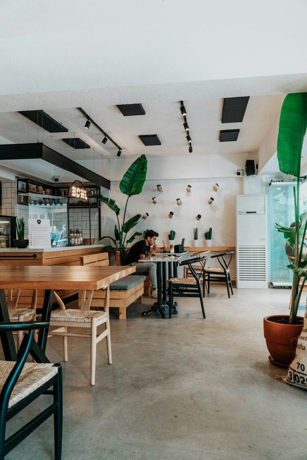 Bright modern co-working space with wooden tables and plants